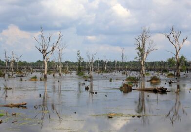 Major river deltas sinking faster than sea-level rise