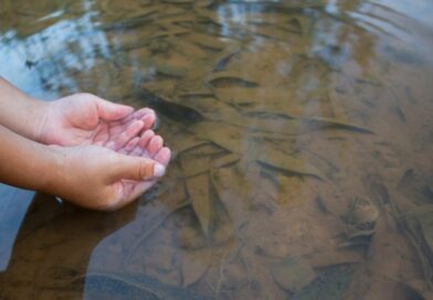 Now, a high-school student designs low-cost teabag to remove arsenic in water